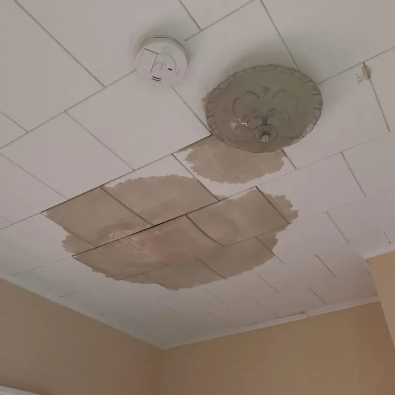 Ceiling Water Damage Repair in Blair, NE