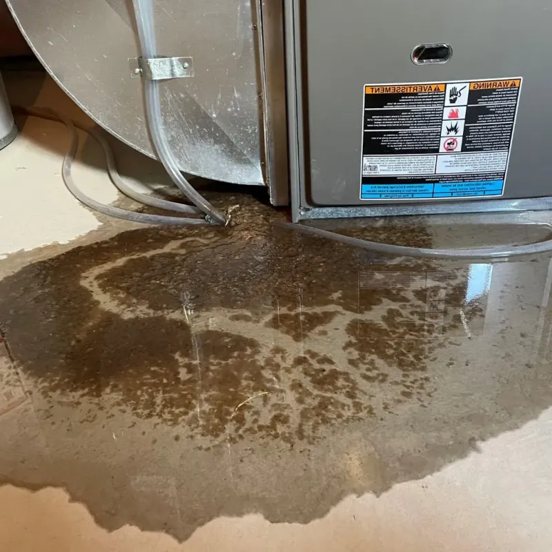 Pipe Burst and Leak Restoration in Blair, NE
