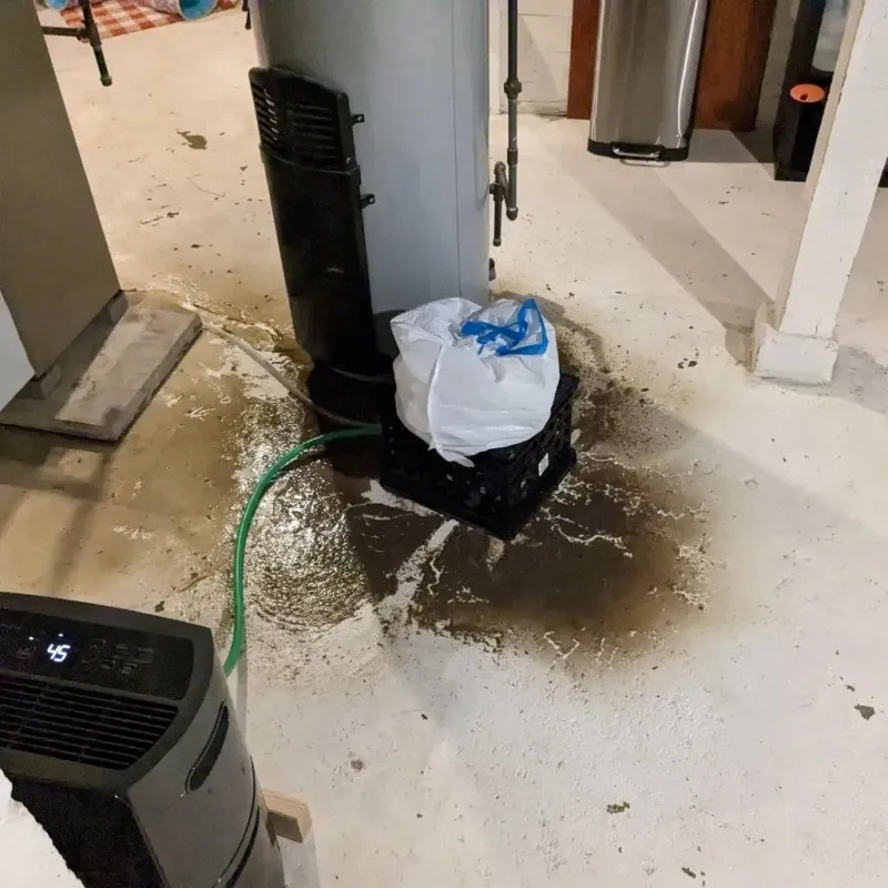 Sewage Backup Cleanup Service in Blair, NE